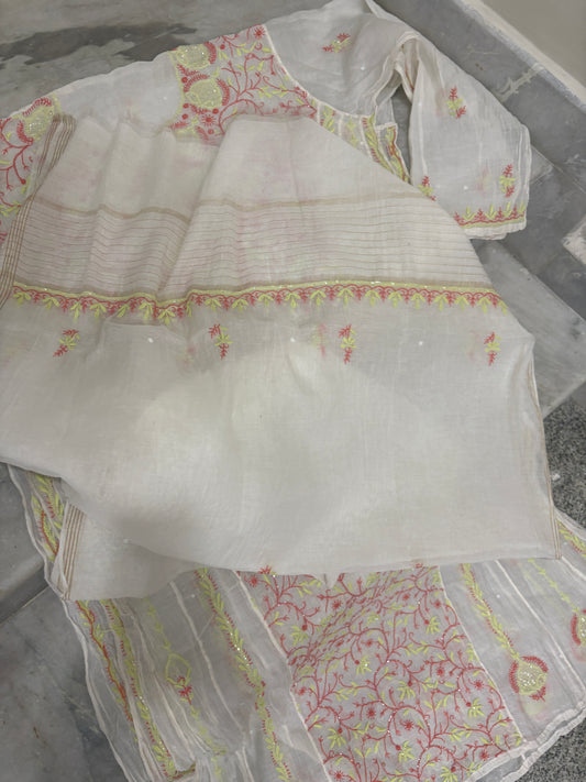 Chiankari premium anarkali with adons and dupatta